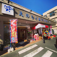 画像1334